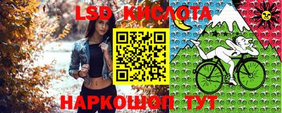 круглые Бийск