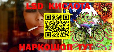 крисы Беслан
