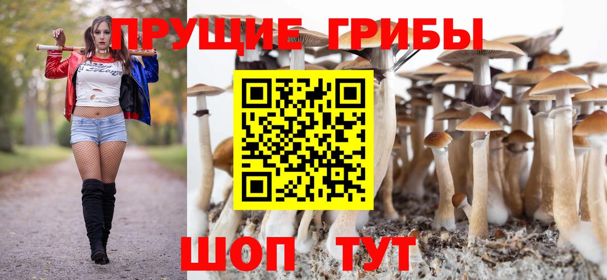 Псилоцибиновые грибы прущие грибы  Вход с VPN  Калач-на-Дону  Псилоцибиновые грибы GOLDEN TEACHER 